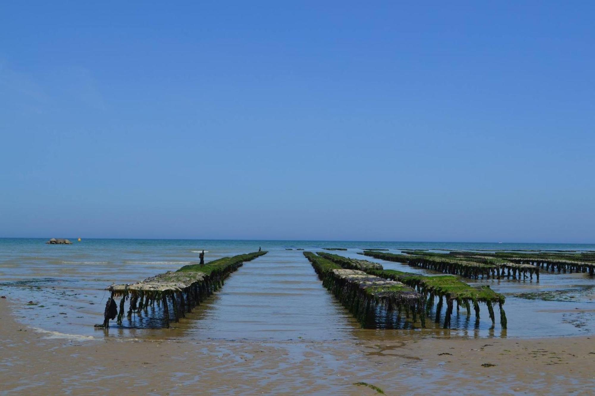 Le So Art, Grande Maison 4 Chambres, Terrain De Petanque, Grand Jardin Clos, Flipper, Babyfoot, Jeux Arcade, Ping Pong,1 Km Mer, Proche Golf, Port En Bessin, Bayeux Et Plages Du Debarquement, Adaptee Enfants Commes Dış mekan fotoğraf